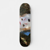Mugen Corghees Skateboard (Voorkant)