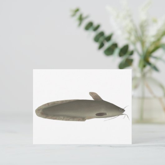 muggenmeerval briefkaart (Staand voorkant)