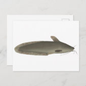 muggenmeerval briefkaart (Voorkant / Achterkant)