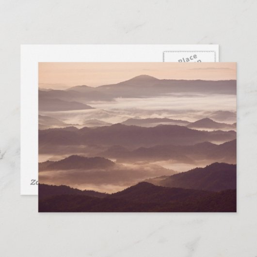 Muggenmist in het zuiden van Appalachian Briefkaart (Voorkant / Achterkant)