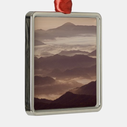 Muggenmist in het zuiden van Appalachian Metalen Ornament (Rechts)