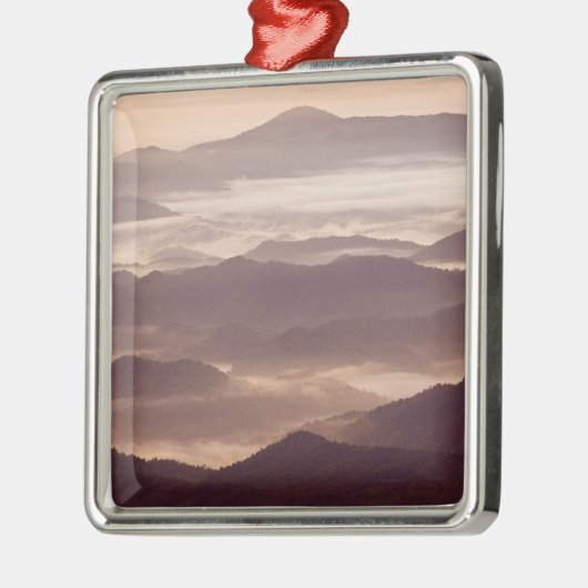 Muggenmist in het zuiden van Appalachian Metalen Ornament (Links)