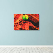 muggenontdekkingsreiziger canvas afdruk (Insitu (Houten vloer))