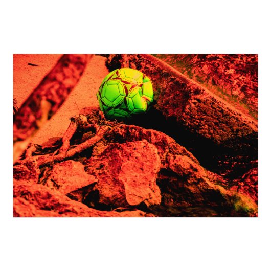 muggenontdekkingsreiziger foto afdruk (Voorkant)