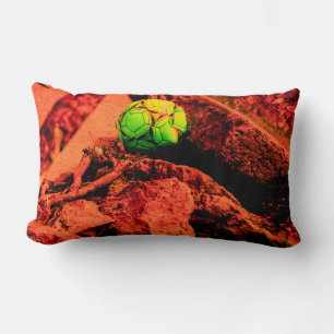 muggenontdekkingsreiziger kussen