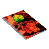 muggenontdekkingsreiziger notitieboek (Rechterzijde)