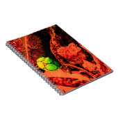 muggenontdekkingsreiziger notitieboek (Rechterzijde)