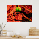 muggenontdekkingsreiziger poster (Keuken)