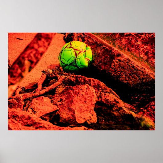 muggenontdekkingsreiziger poster (Voorkant)