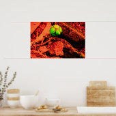 muggenontdekkingsreiziger poster (Keuken)