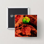 muggenontdekkingsreiziger vierkante button 5,1 cm (Voorkant /achterkant)