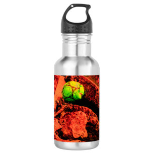 muggenontdekkingsreiziger waterfles 