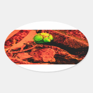 muggenverkenner ovale sticker