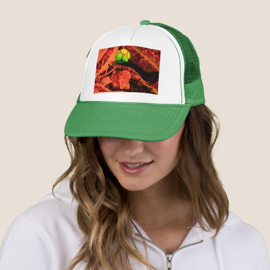 muggenverkenner trucker pet (In situ)