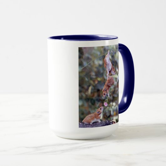 Mugging Mice-Mok Mok (Voorkant rechts)