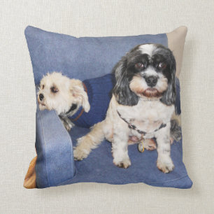 Muggles - Lhasa Apso Kussen