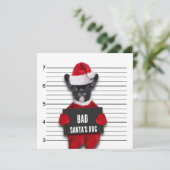 Mugshot Bad Santa's Funny Dog Kerstmis Kaart (Staand voorkant)