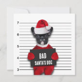 Mugshot Bad Santa's Funny Dog Kerstmis Kaart (Voorkant)