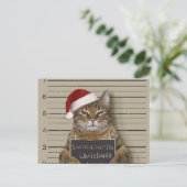 Mugshot Cat Christmas Briefkaart (Staand voorkant)