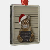 Mugshot Cat Kerstmis Metalen Ornament (Rechts)