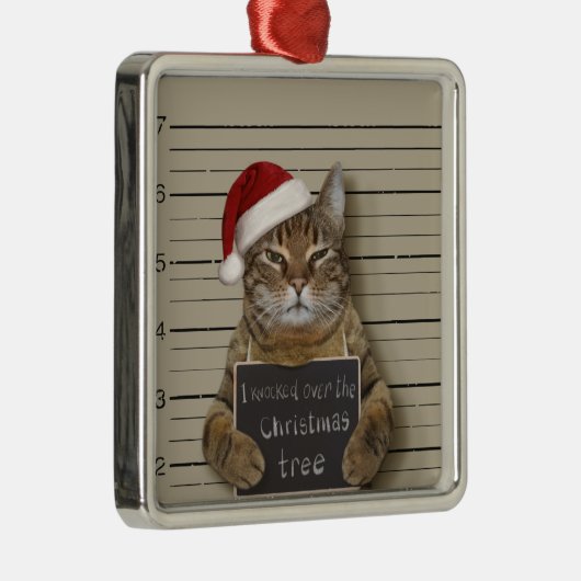 Mugshot Cat Kerstmis Metalen Ornament (Rechts)