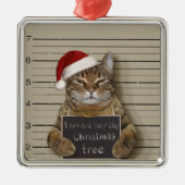 Mugshot Cat Kerstmis Metalen Ornament (Voorkant)