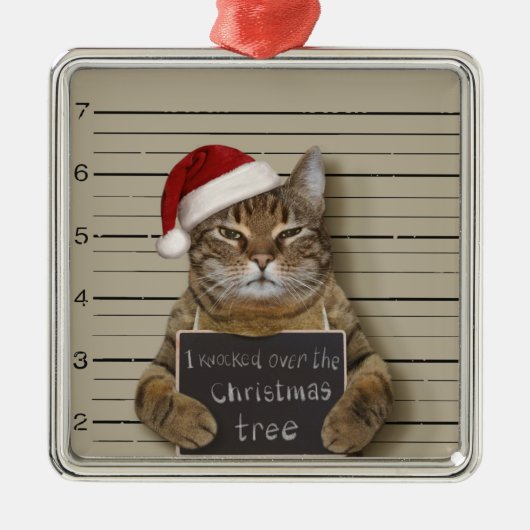Mugshot Cat Kerstmis Metalen Ornament (Voorkant)
