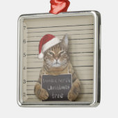 Mugshot Cat Kerstmis Metalen Ornament (Links)
