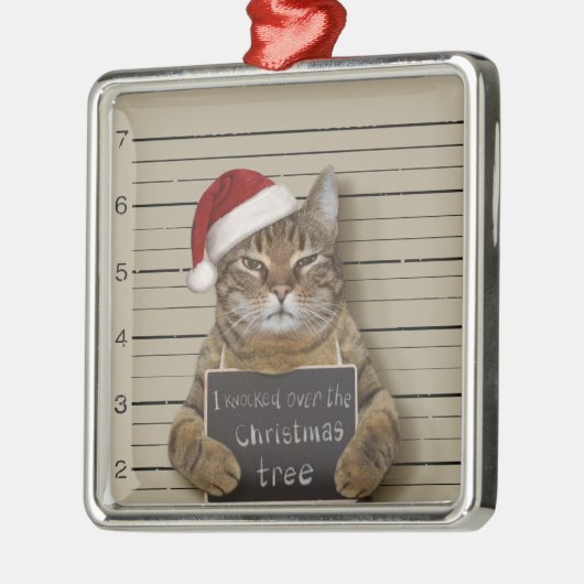 Mugshot Cat Kerstmis Metalen Ornament (Links)