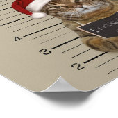 Mugshot Cat Kerstmis Poster (Hoek)