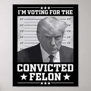 Mugshot Stem op de Felon Trump 2024 Trump Convic Poster