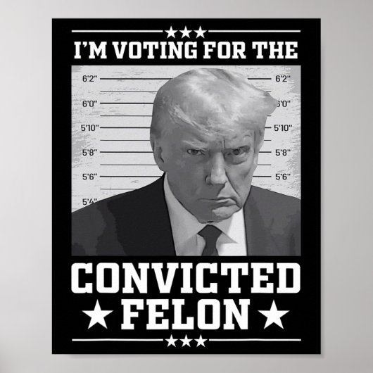 Mugshot Stem op de Felon Trump 2024 Trump Convic Poster (Voorkant)