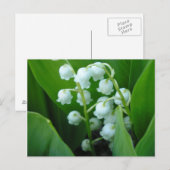 Muguet Briefkaart (Voorkant / Achterkant)