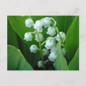 Muguet Briefkaart (Voorkant)