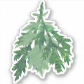 Mugwort (Bollanbane) Sticker (Voorkant)