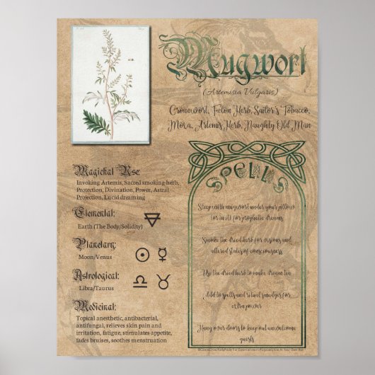 Mugwort Herbal Book of Shadows Pagan Wiccan Poster (Voorkant)