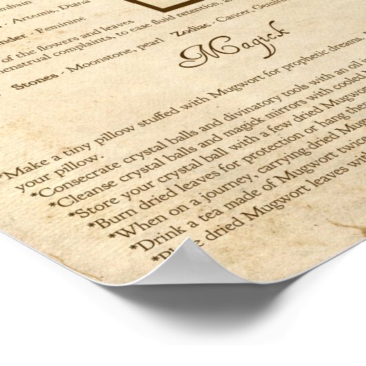 MUGWORT MAGICK HERB POSTER (Hoek)