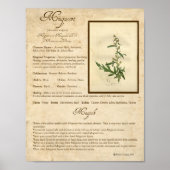 MUGWORT MAGICK HERB POSTER (Voorkant)