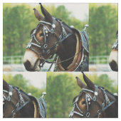 muildag stof (Close Up)