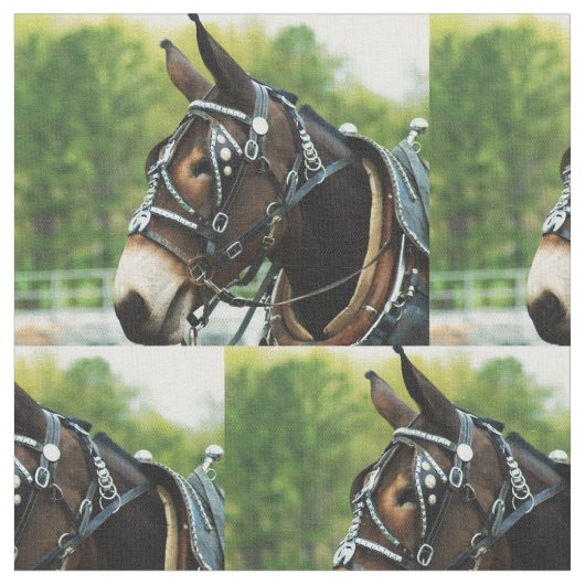 muildag stof (Close Up)