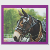 muildagen cadeaupapier (Vlak)