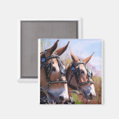 muildagen magneet (Voorkant / Achterkant)