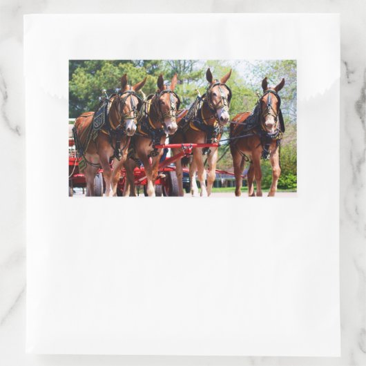 muildagen rechthoekige sticker (Tas)