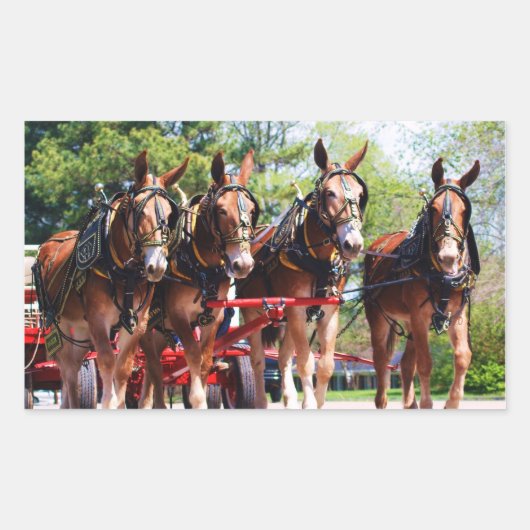 muildagen rechthoekige sticker (Voorkant)