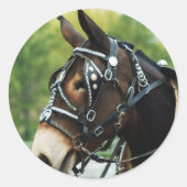 muildagen ronde sticker (Voorkant)