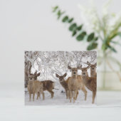 Muildier in de sneeuw feestdagenkaart (Staand voorkant)