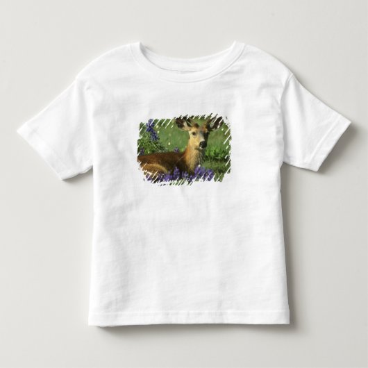 Muildier, Odocoileus hemionus Kinder Shirts (Voorkant)