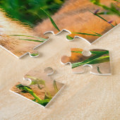 Muildier Wyoming . Legpuzzel (Zijkant)