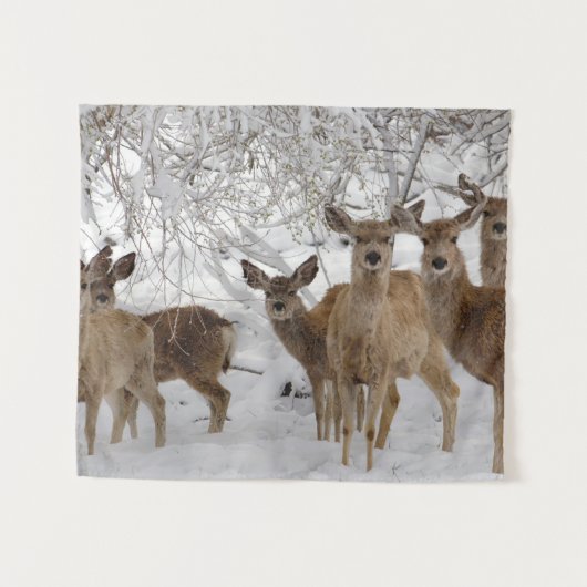 Muildier Wyoming Wandkleed (Voorkant (horizontaal))