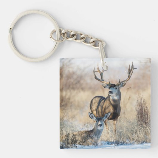 Muildierbok en -geit sleutelhanger (Voorkant)